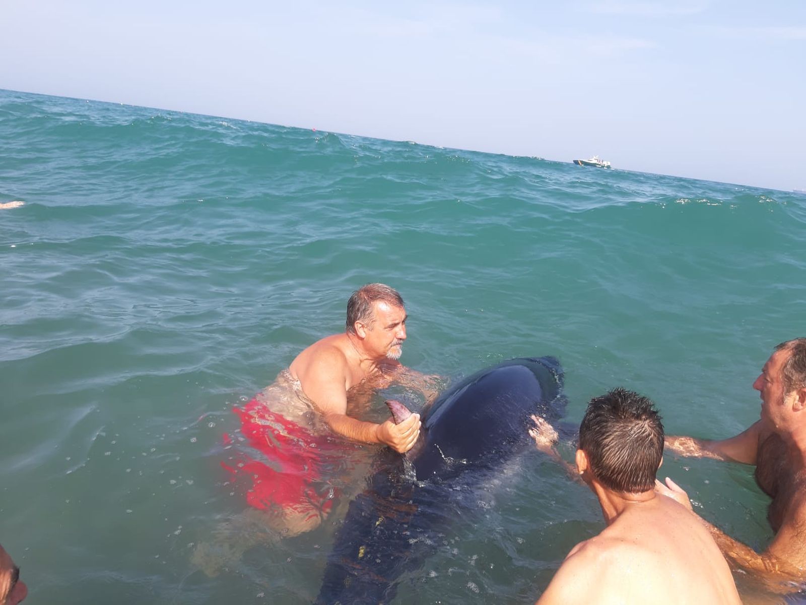 El atún que quedó varado en la playa de Santa Bárbara.