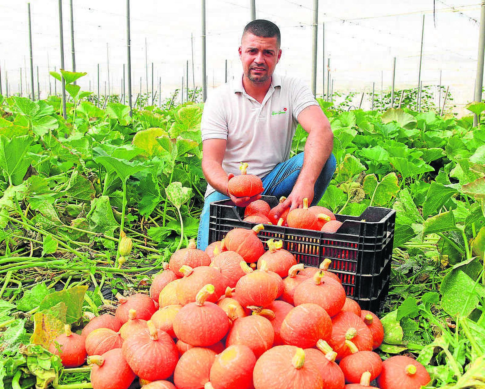 Ruben Rodríguez con su primera cosecha de calabaza ecológica.