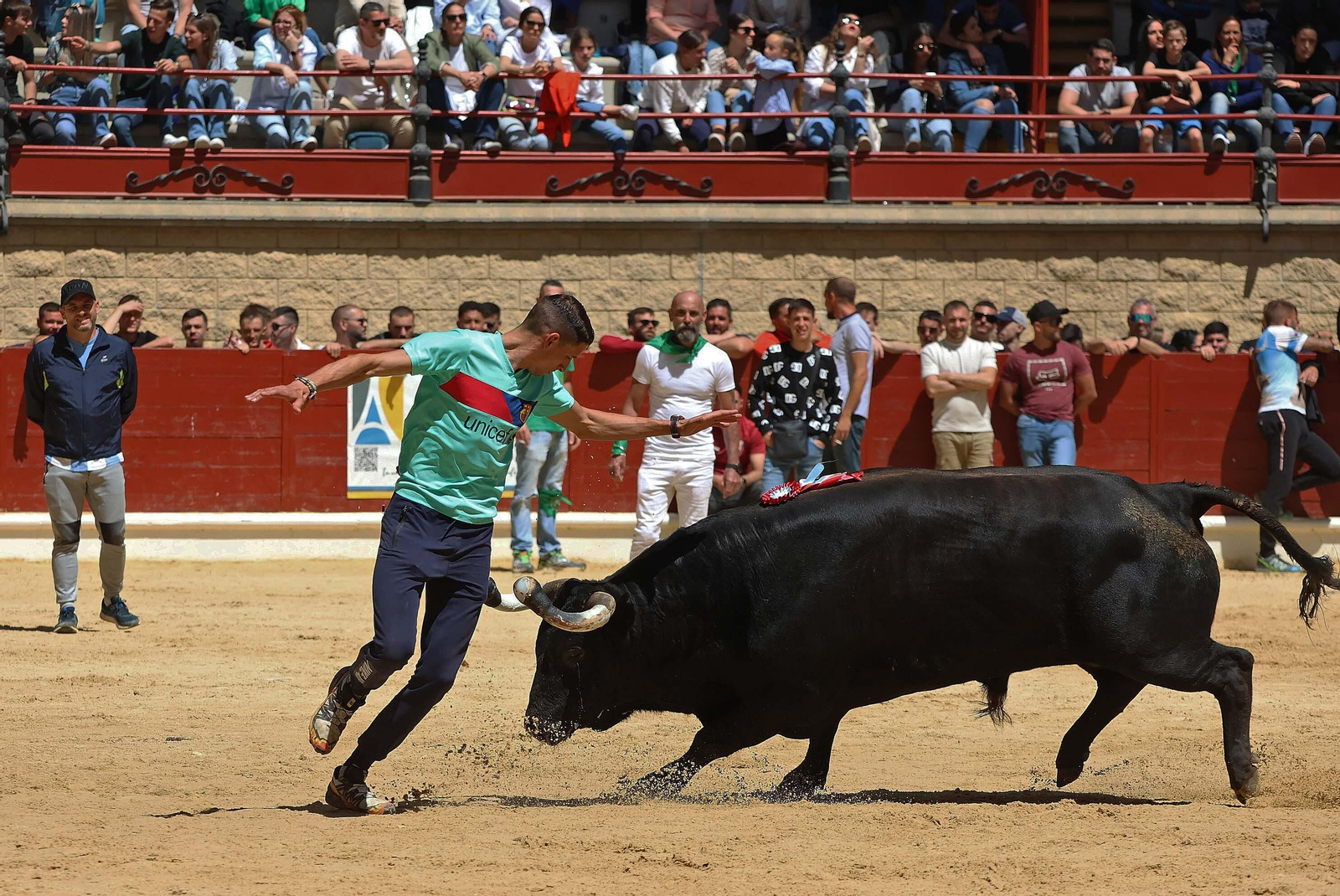 Las mejores fotos del Toro Embolao de Los Barrios 2024