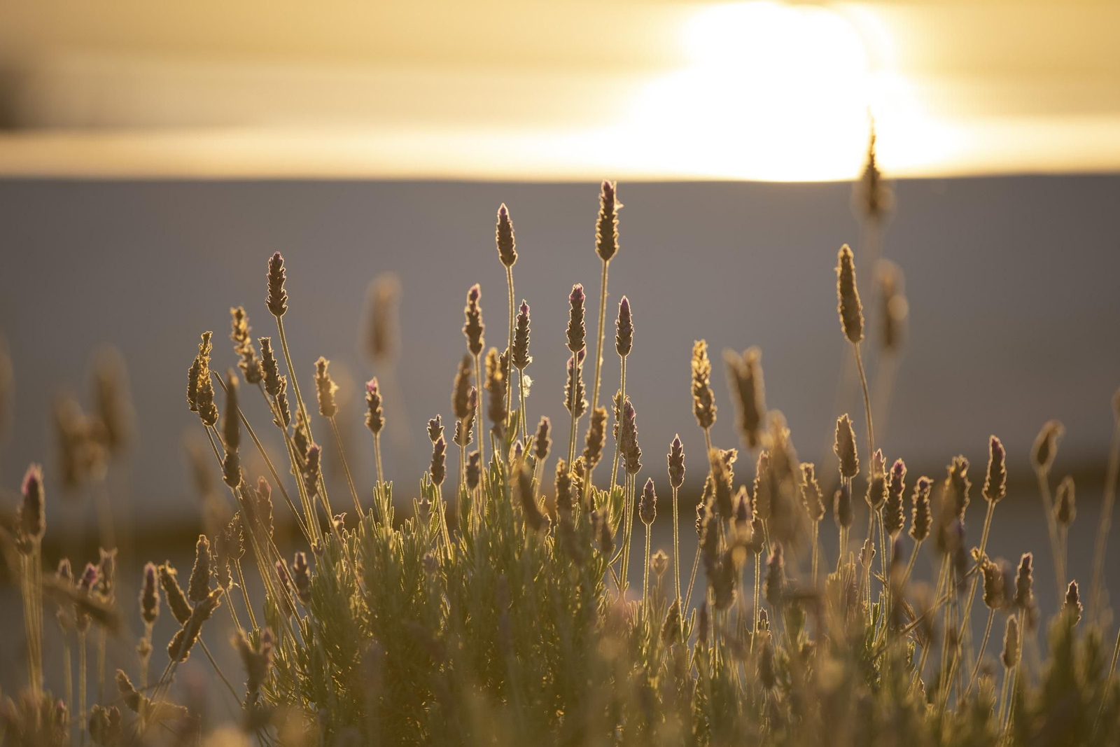 La última puesta de sol para despedir el año en Huelva