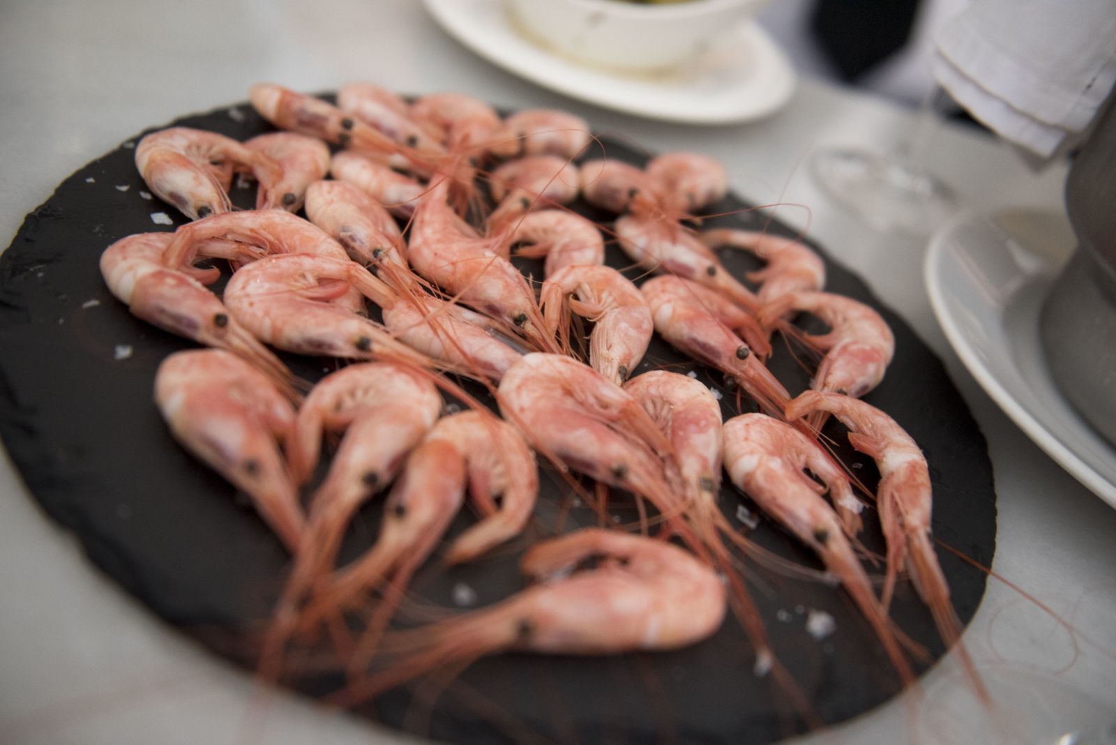 Imágenes de las Jornadas por la Excelencia de la Quisquilla de Motril