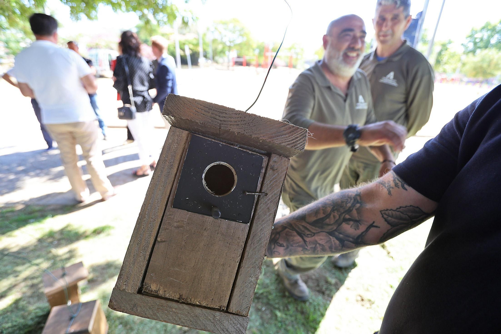 Imágenes de la colocación de cajas nidos  en árboles del parque Antonio Machado
