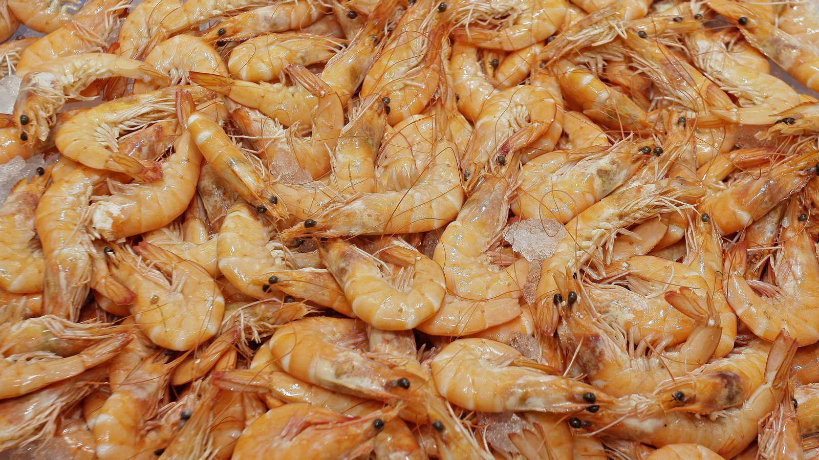 Listo para Comer de Mercadona llega al Campo de Gibraltar