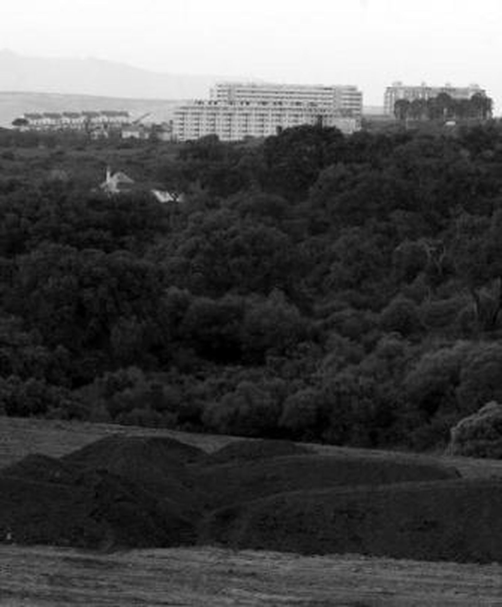 El abono, a la entrada del vertedero.