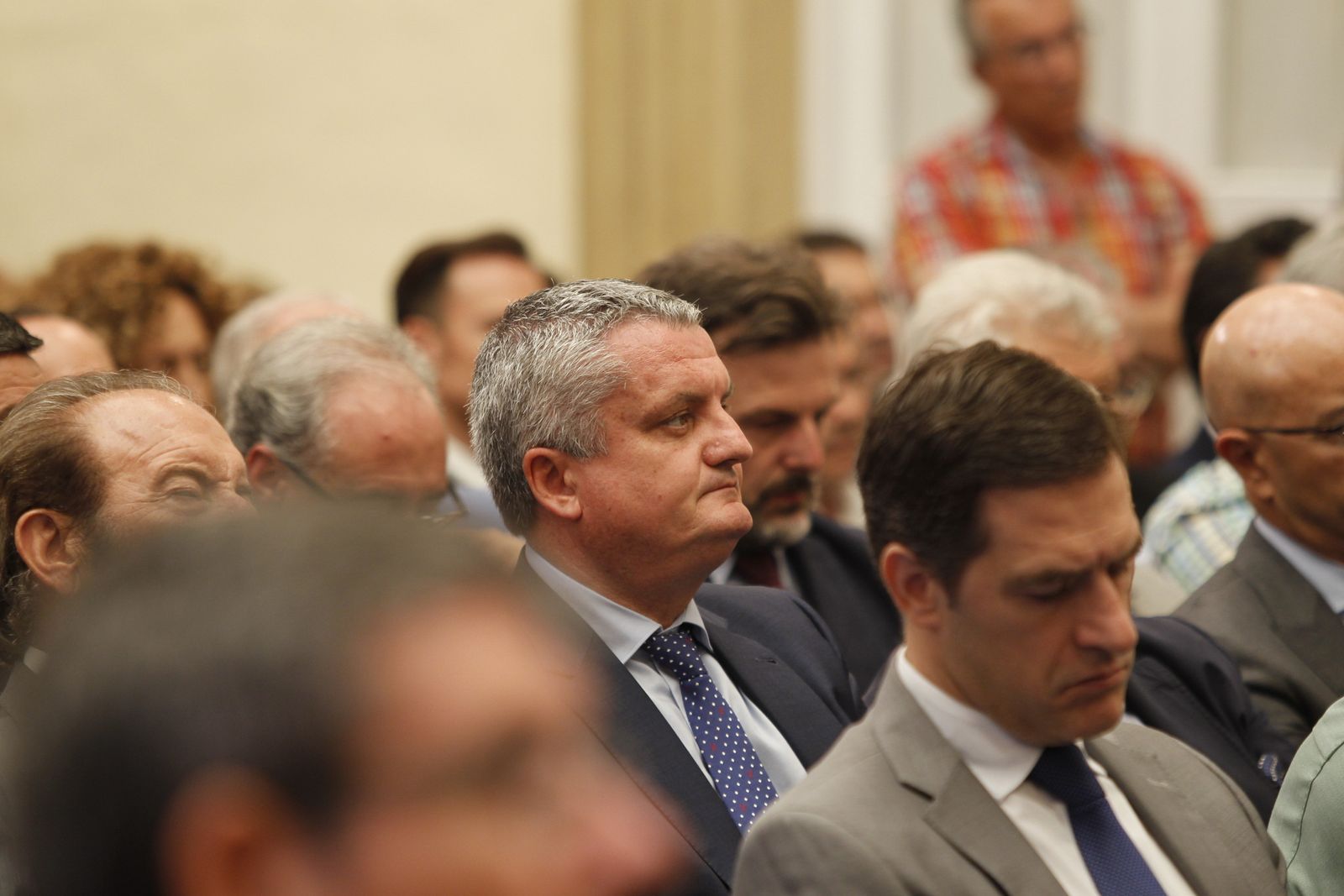 Pleno investidura Presidente Diputación de Almería. Javier Aureliano García