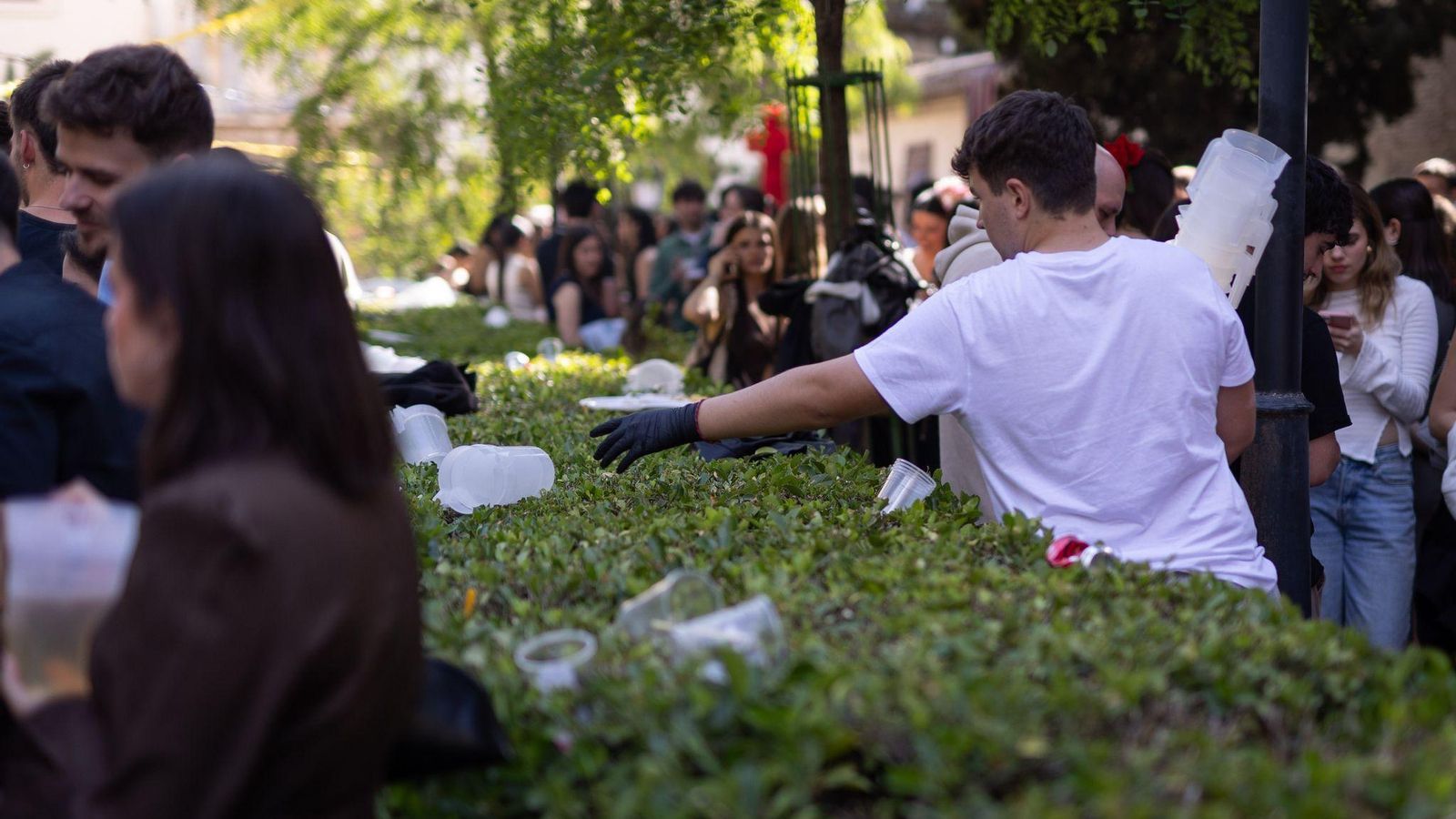 Encuéntrate en la mejores fotos del Día de la Cruz de Granada