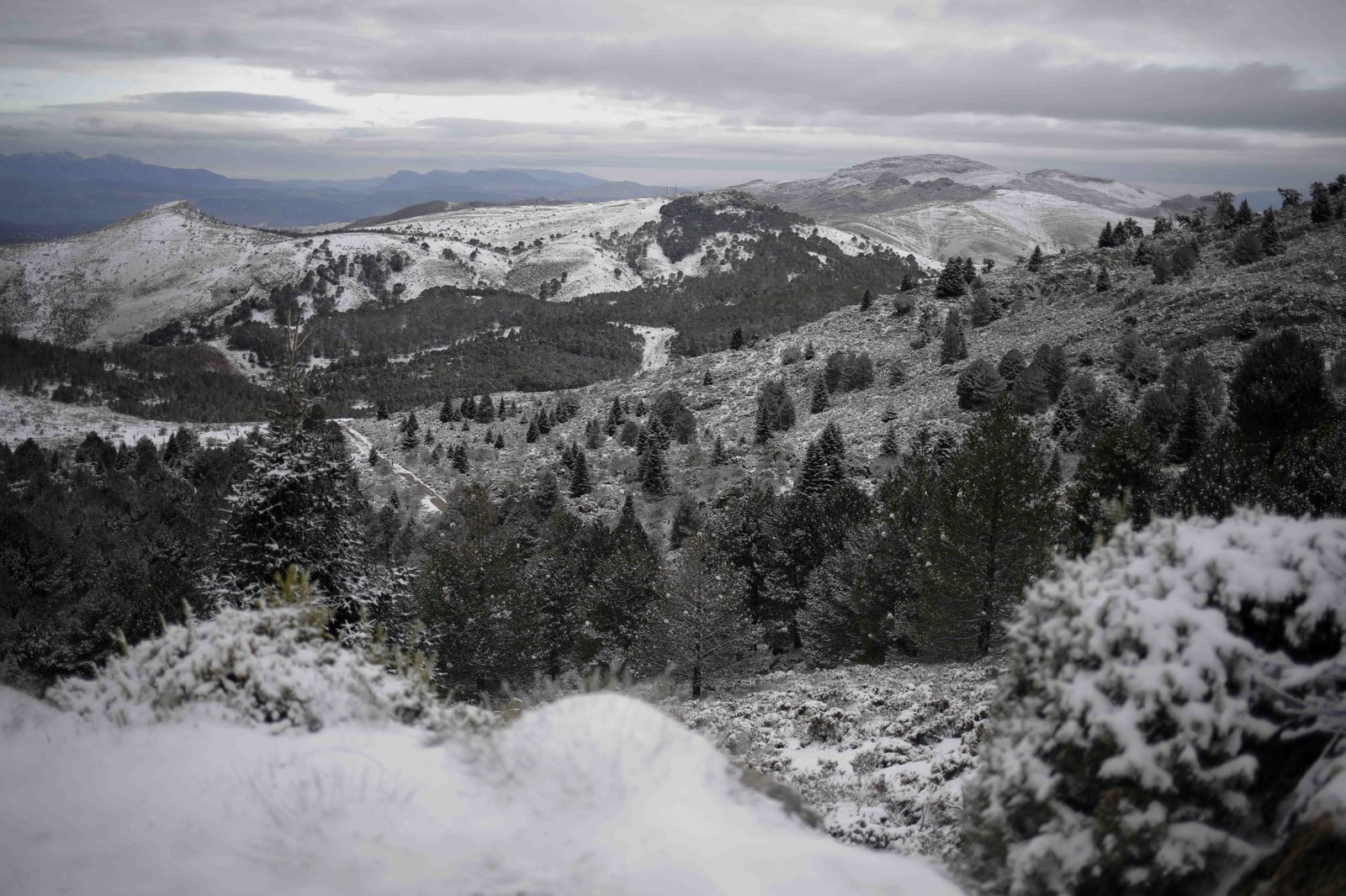 La excursiones a los parajes nevados de Málaga, en imágenes