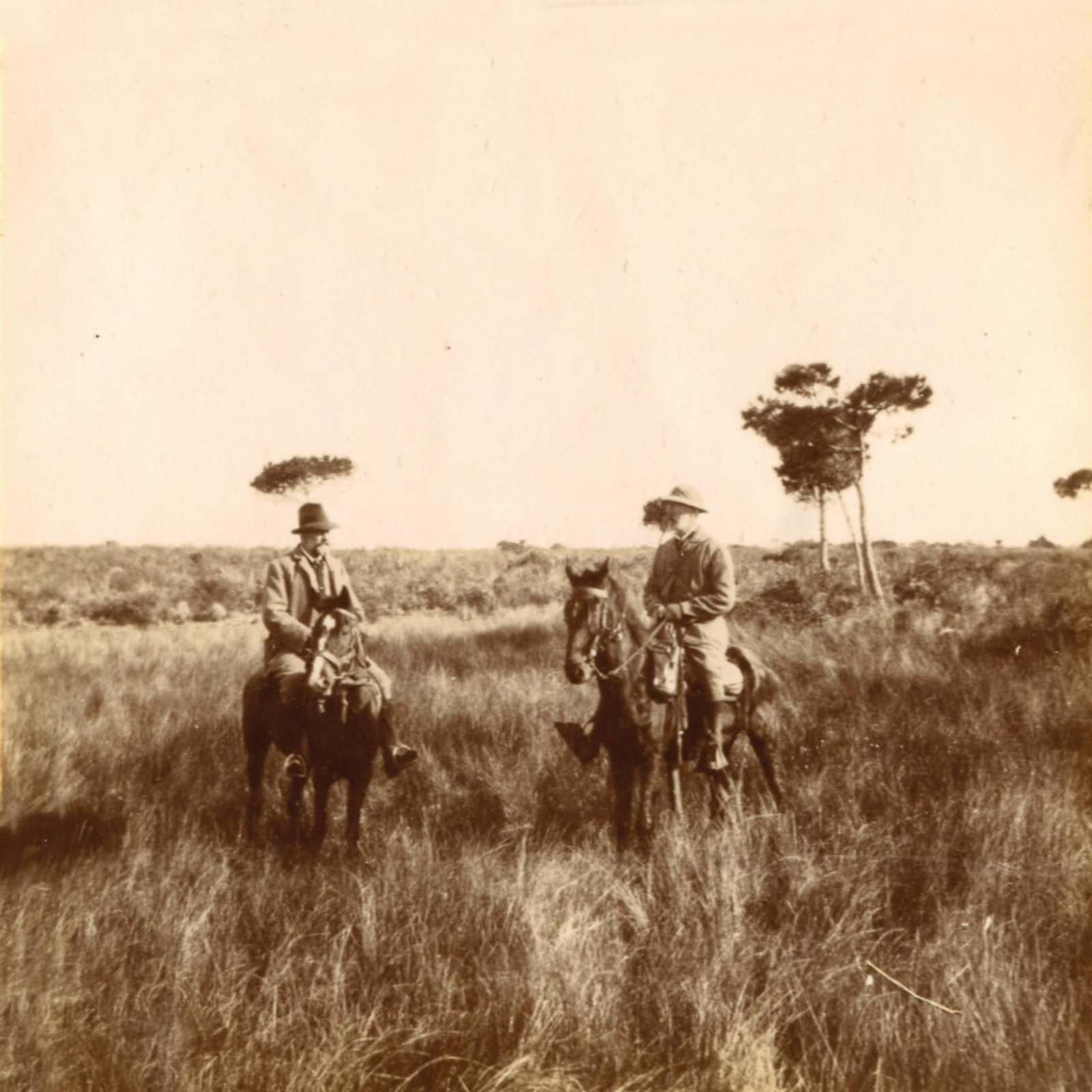 Chapman y Pedro Nolasco a caballo, entre los juncales de Doñana, en 1908.