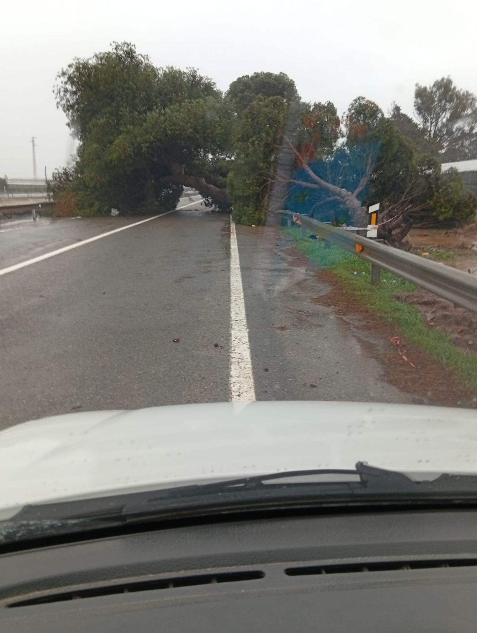 En imágenes: el temporal Kristin mantiene en vilo a toda la provincia de Almería