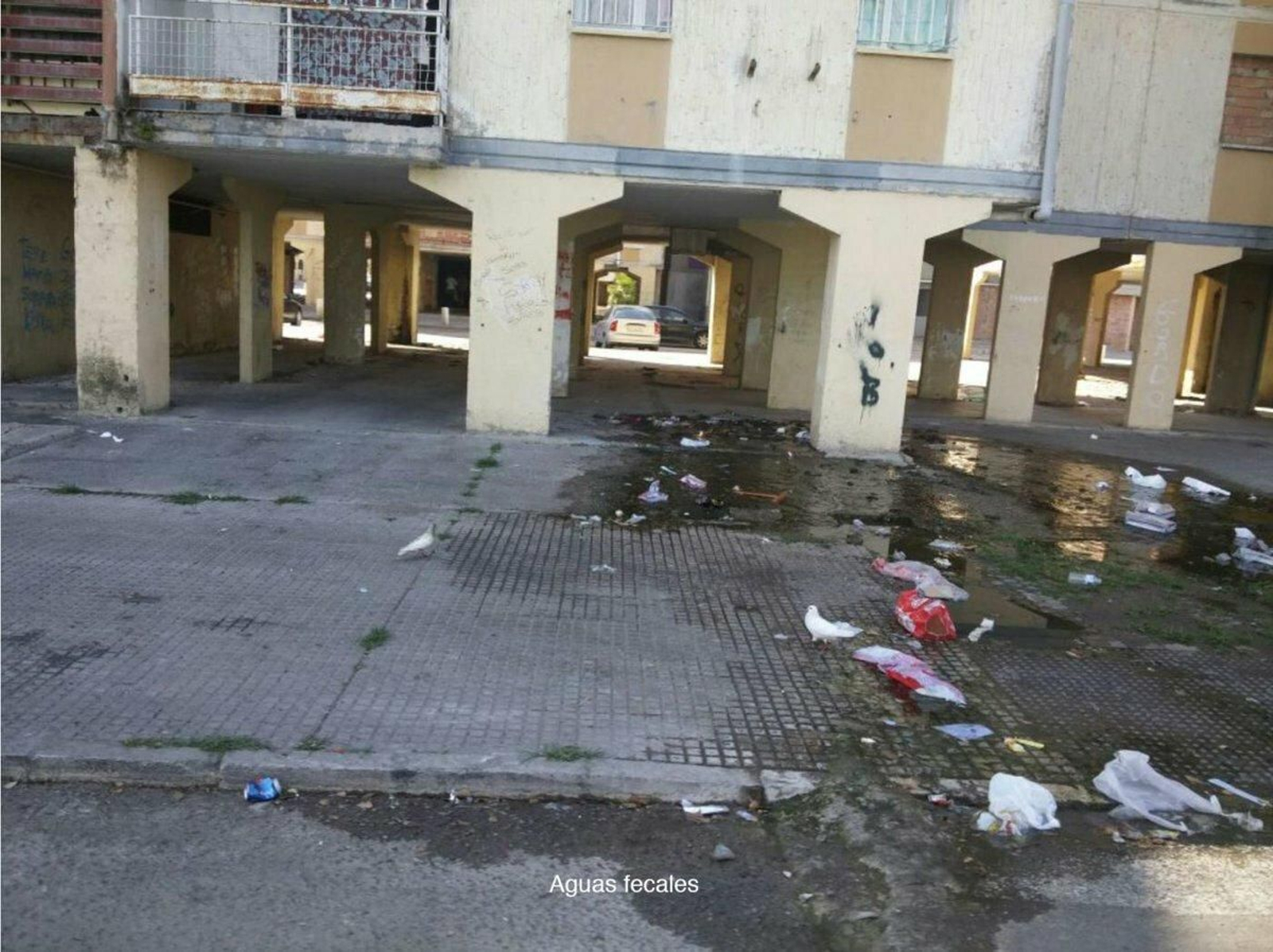 Galería de imágenes de la suciedad en distintos puntos de la ciudad.