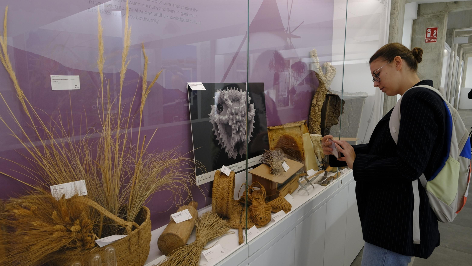 Descubre en estas fotos las maravillas que esconde el Pabellón de Historia Natural de la UAL