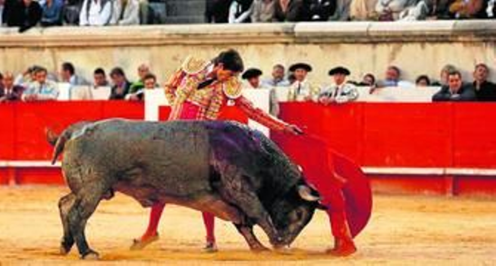 Sebastián Castella, en un natural a uno de sus toros en el coliseo romano de Nimes.