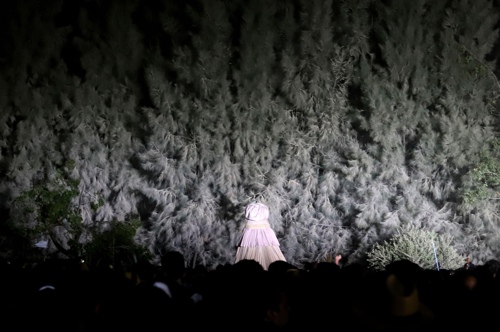 Recuerda las imágenes de la Venida de la Virgen del Rocío a Almonte en 2019