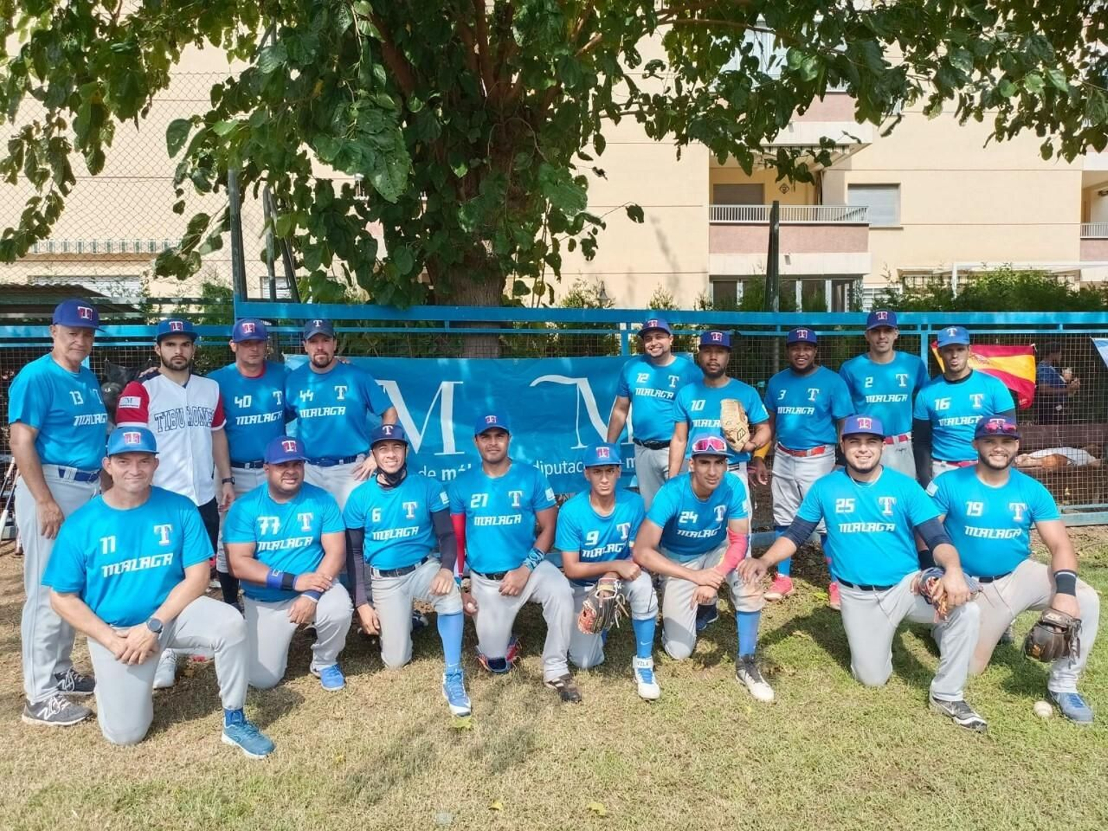 Los Tiburones, en Valencia.