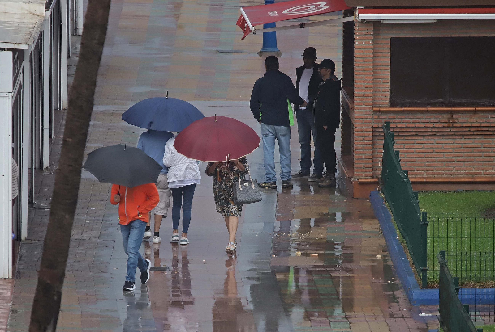Las primeras lluvias de otoño, en imágenes