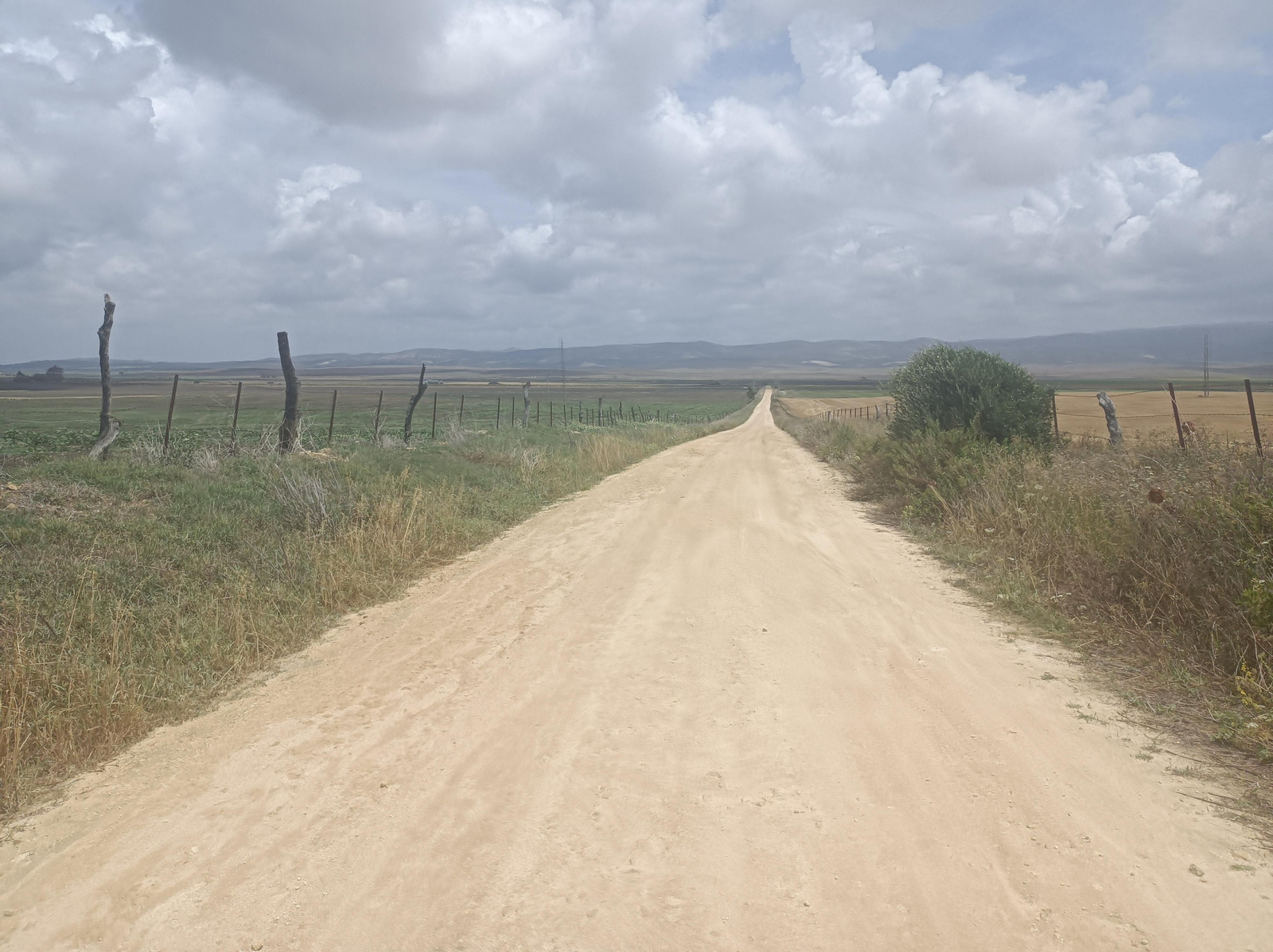 Tras cruzar la carretera, este carril nos lleva a un canal de riego.