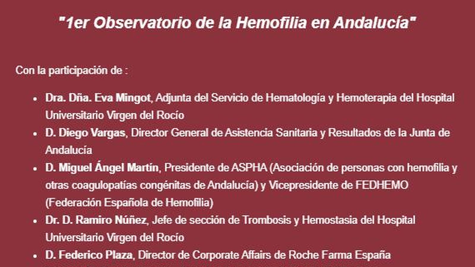Participantes en el I Observatorio de la Hemofilia en Andalucía