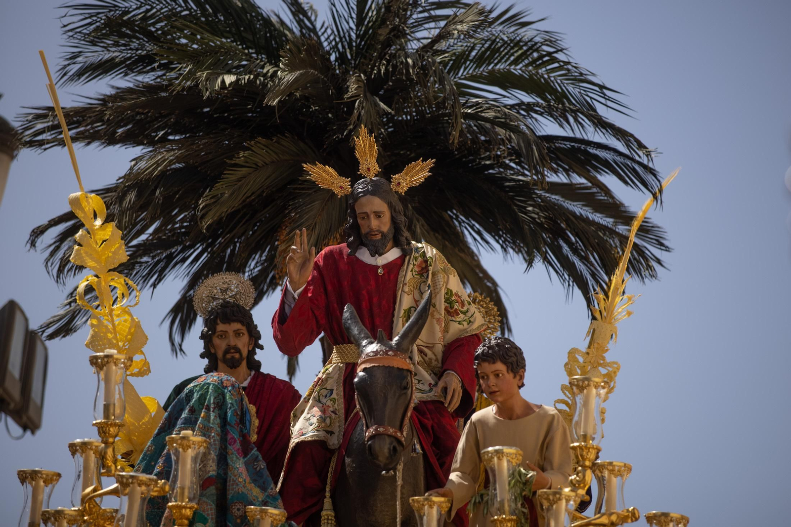 Imágenes del Domingo de Ramos: Hermandad de la Borriquita