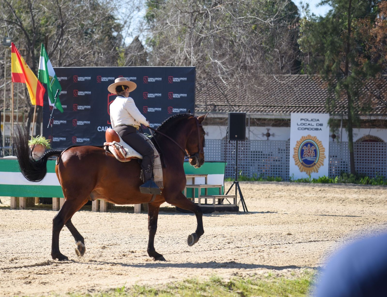 Las mejores imágenes de la Marcha Hípica Córdoba a Caballo del 28F de 2026