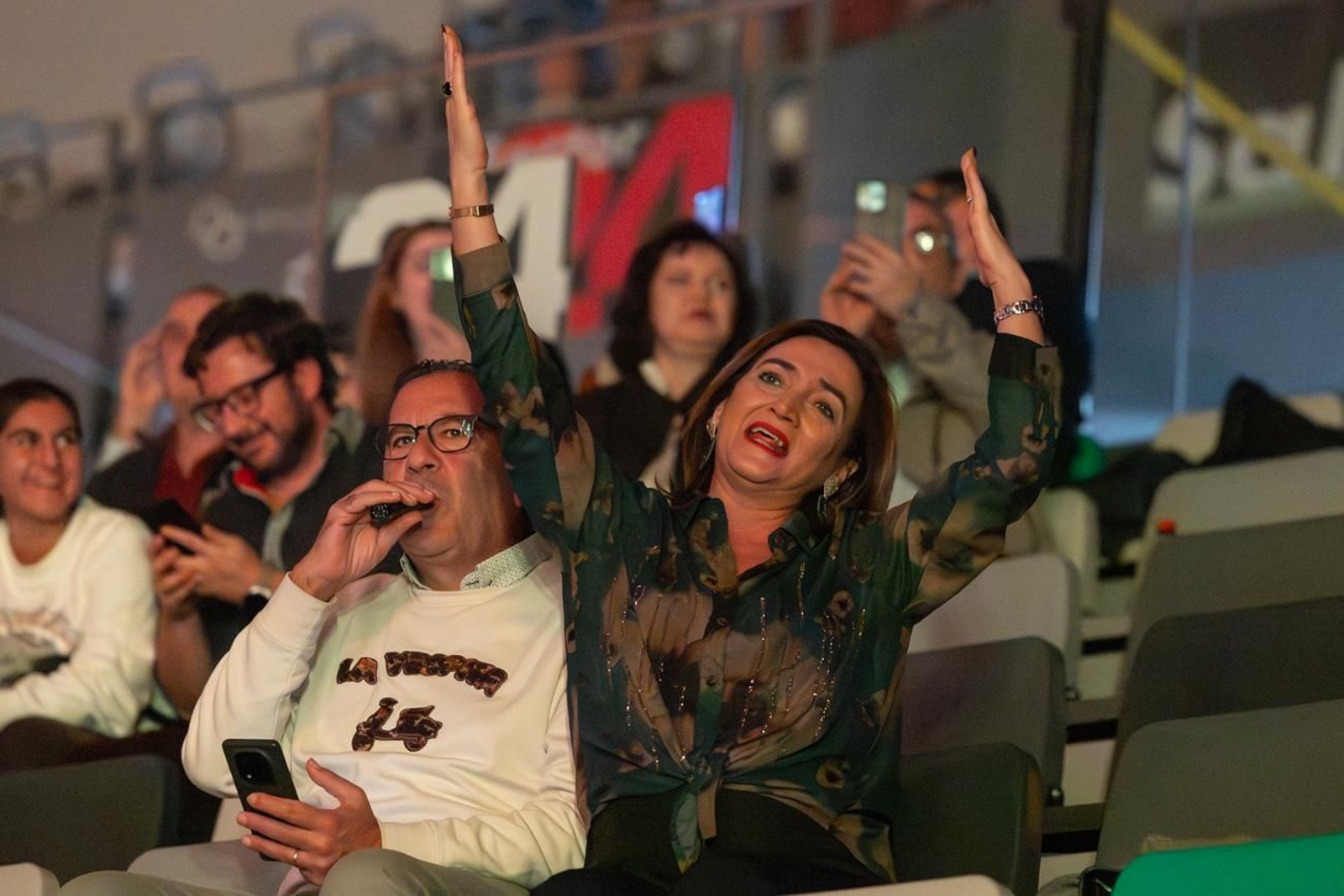 Así se disfruta en Jaén del concierto de Raphael, "Raphaelísimo"