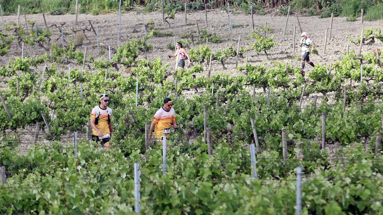 Búscate en la Sherry Maratón 2025 de Jerez (I)