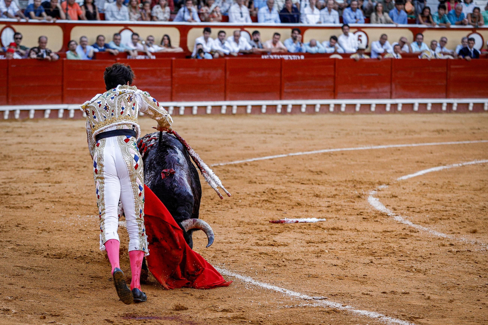 Imágenes de la corrida de toros en El Puerto: Manzanares, Roca Rey y Pablo Aguado