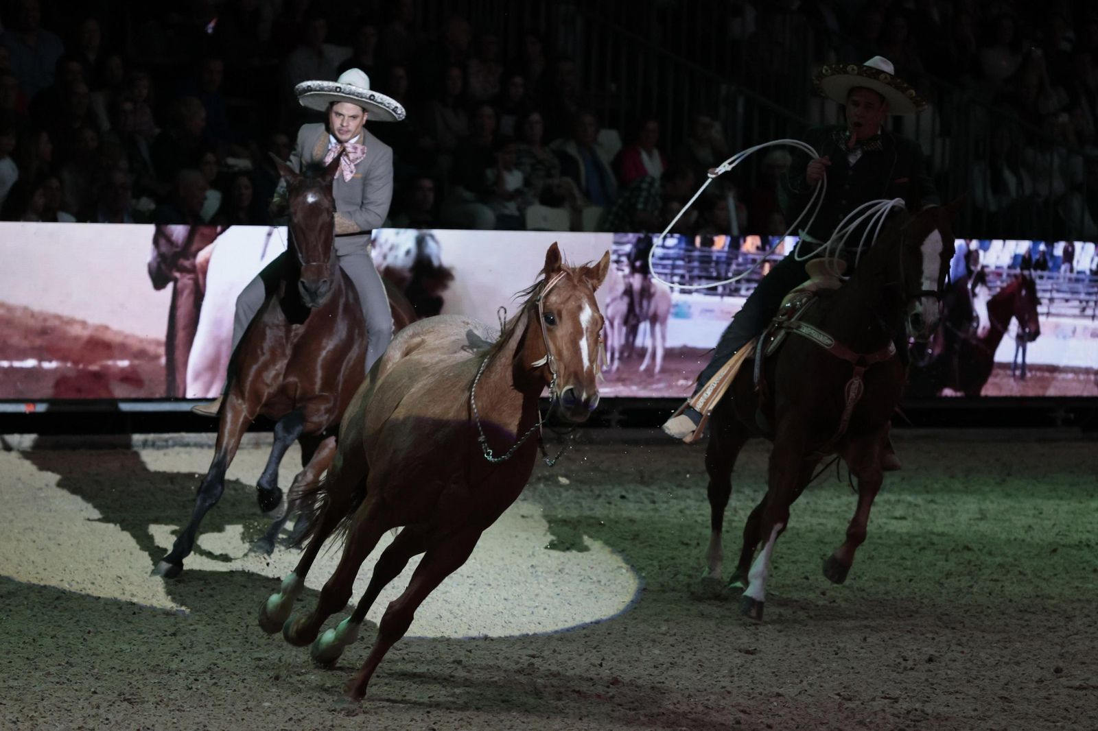 La inauguración de SICAB en imágenes