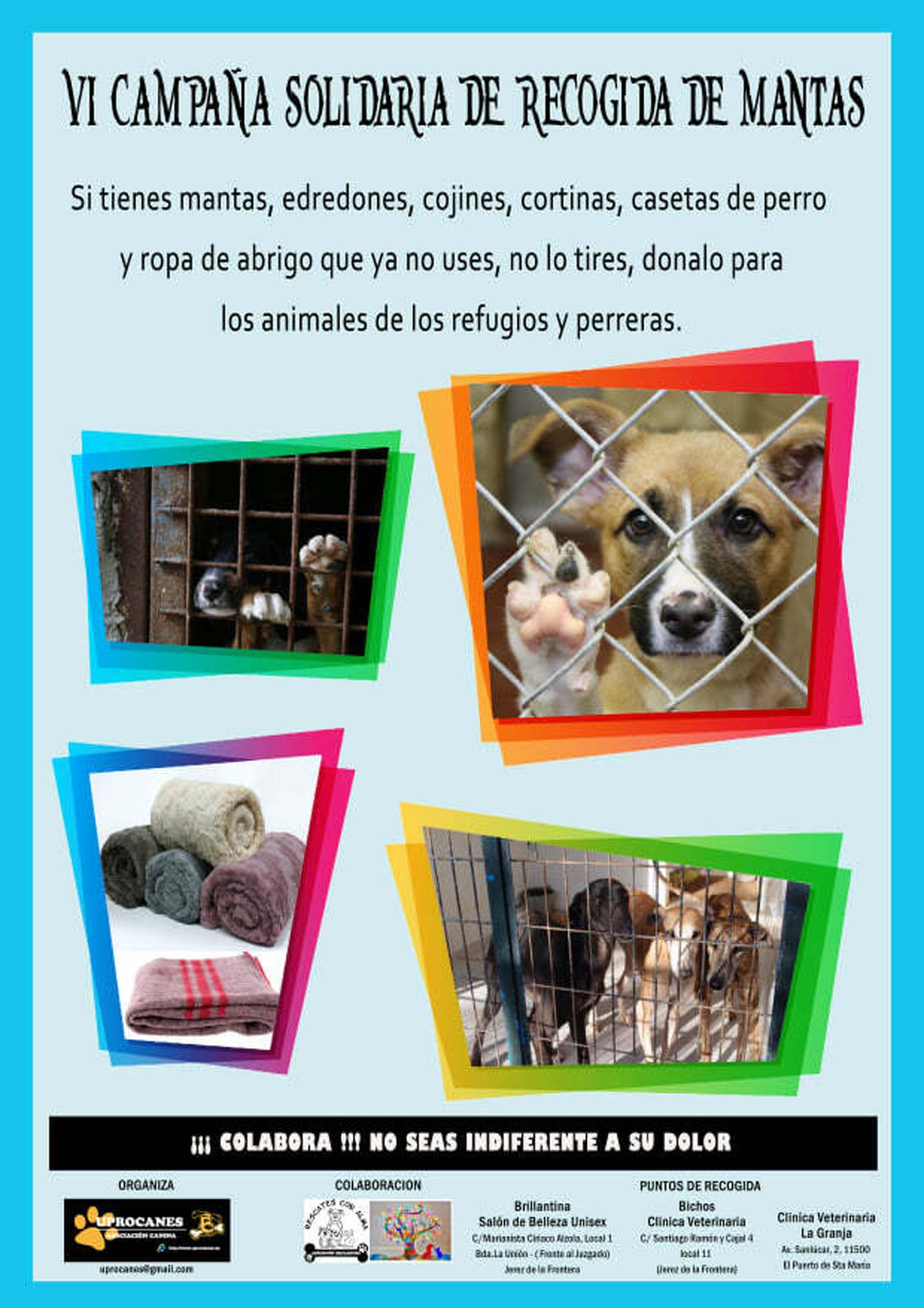 Uprocanes pone en marcha la VI Campaña Solidaria de Recogida de mantas para las protectoras de animales