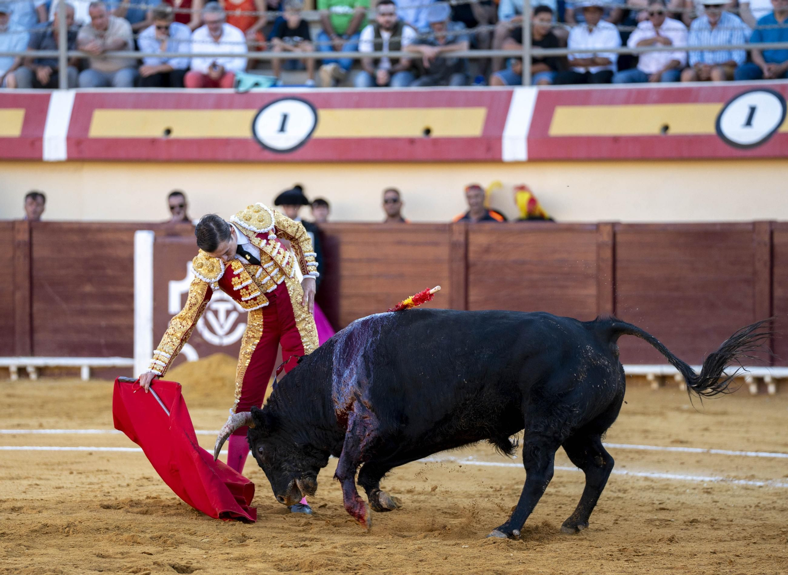Las imágenes de los toros en Vera