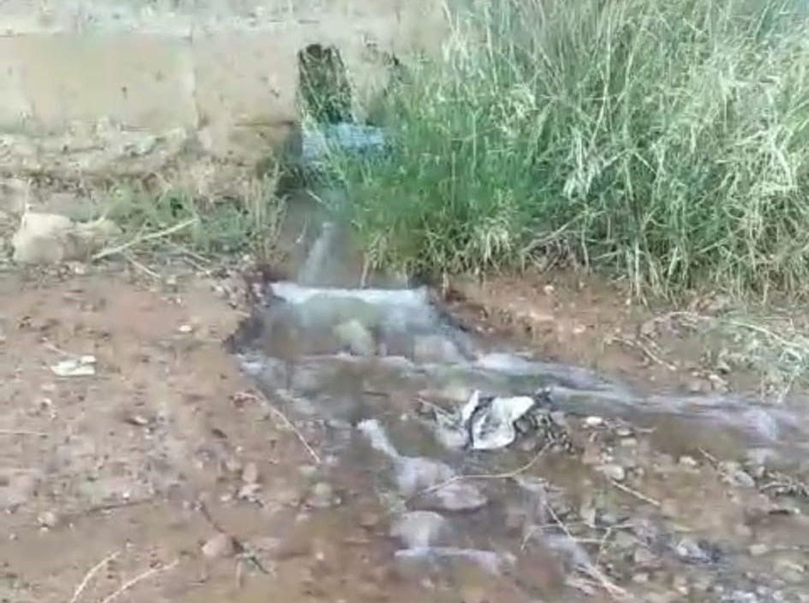Escape de agua en Peñarroya-Pueblonuevo.