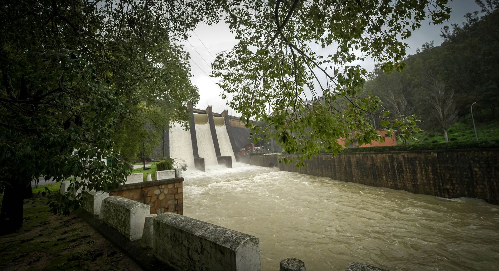Imágenes del estado actual de los embalses de los Hurones, Guadalcacín y Bornos