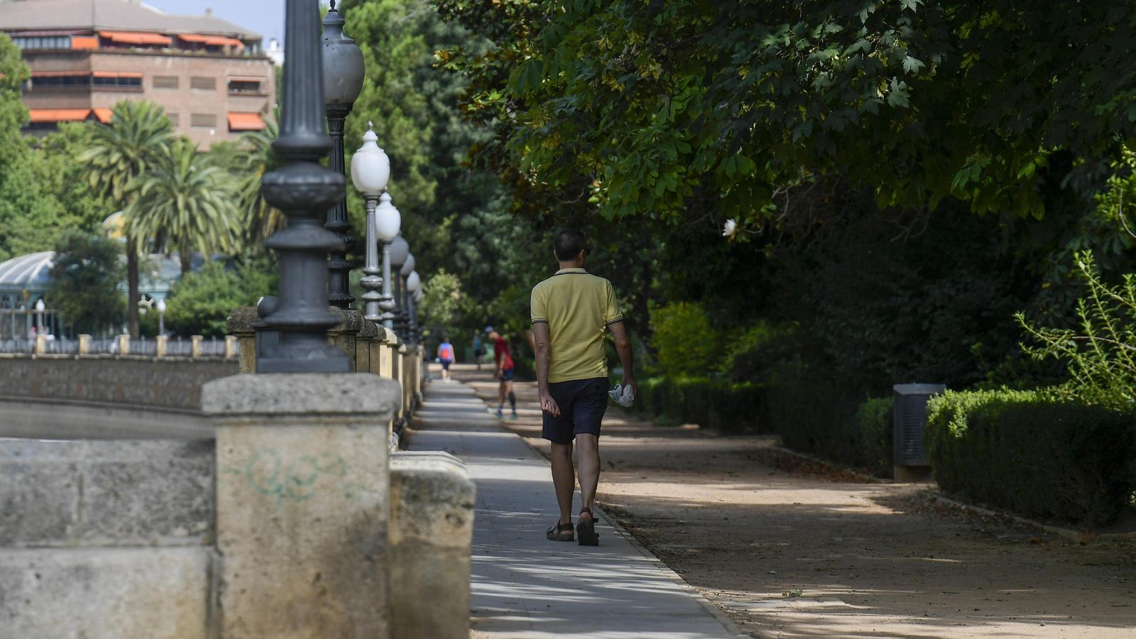 Las sombras de los árboles son necesarias para bajar la temperatura.