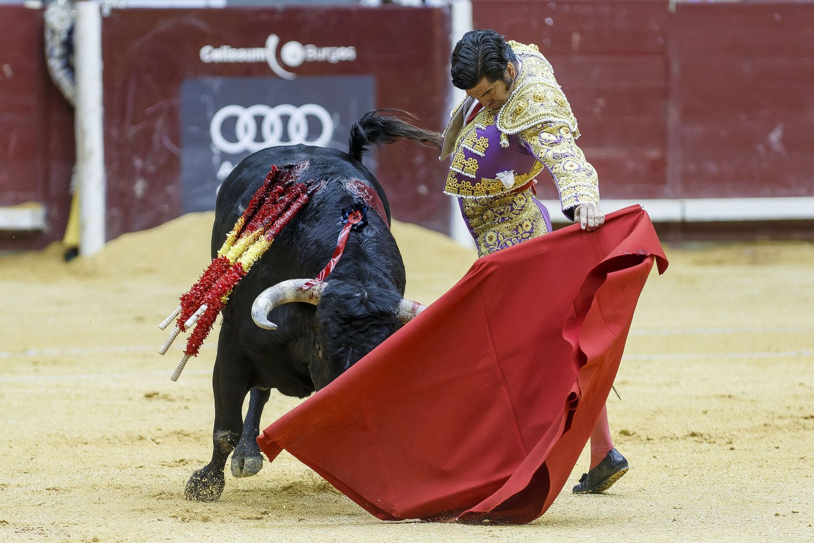 Morante de La Puebla, en un natural al comienzo de su faena a 'Bombardero', el toro que abrió plaza en sus Bodas de Plata como matador.
