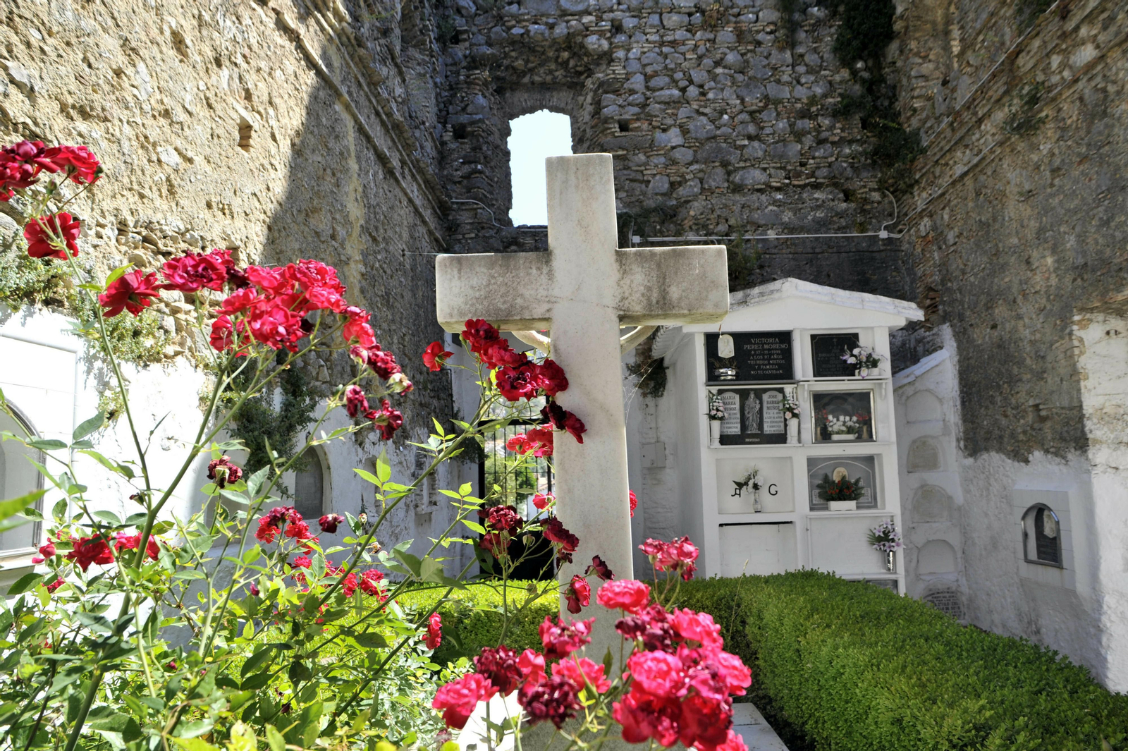Imágenes del cementerio de Villaluenga