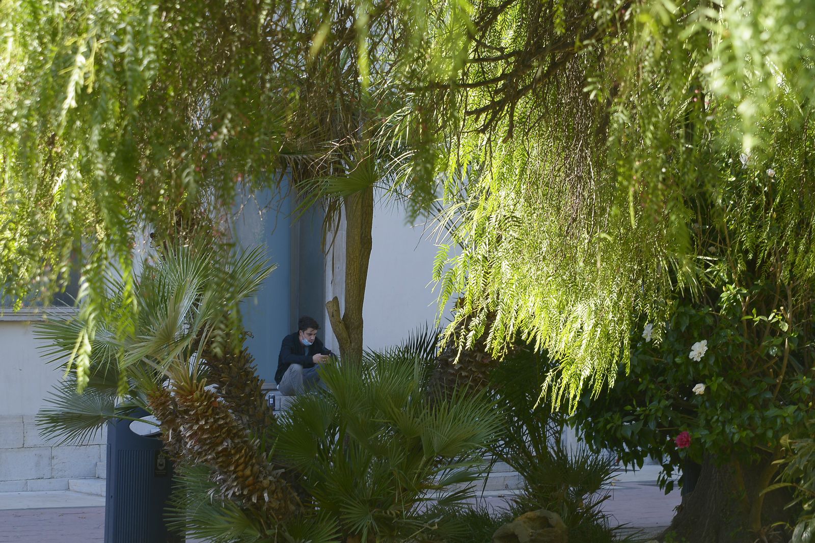 Fotos de los jardines Saccone en La Línea