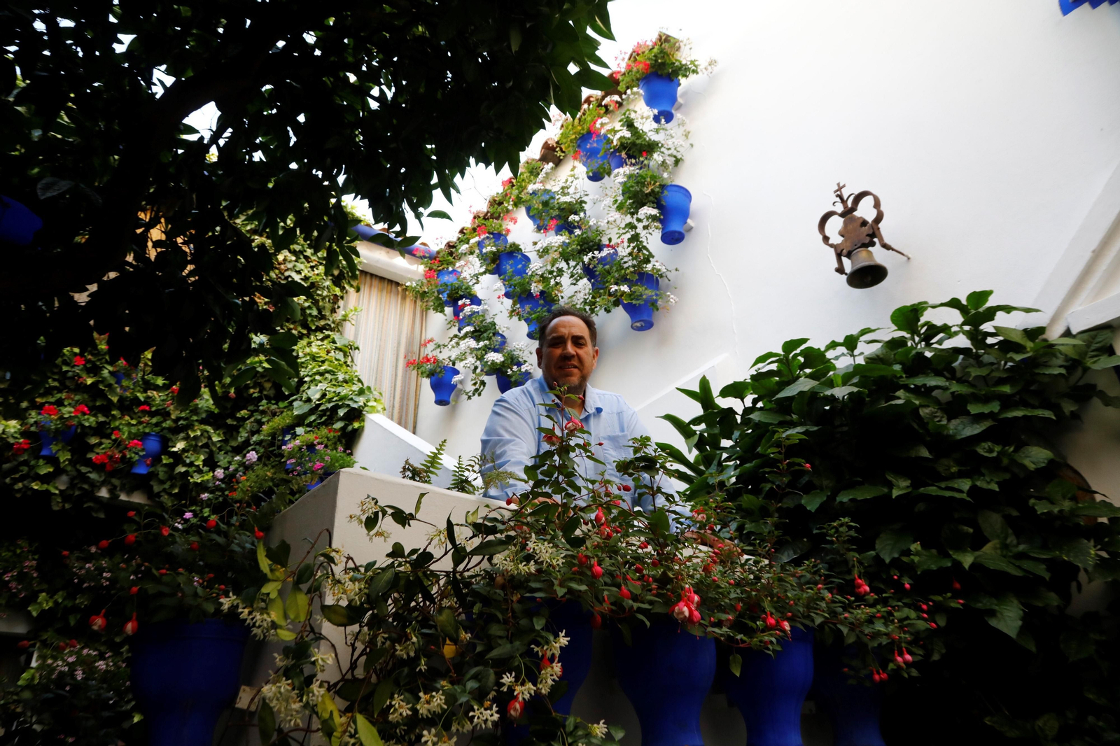 Los ganadores del Concurso de Patios de Córdoba 2023, en imágenes