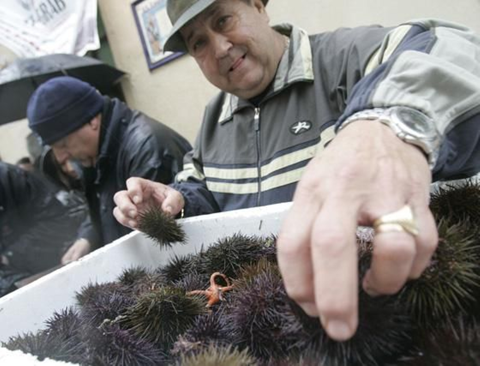 Las precipitaciones provocaron una baja afluencia de personas a la cita precarnavalera y la suspension de las actuaciones previstas. 

Foto: Jesus Marin