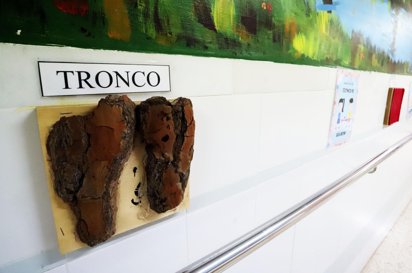 Un día en el Centro de Educación Especial Sagrada Familia