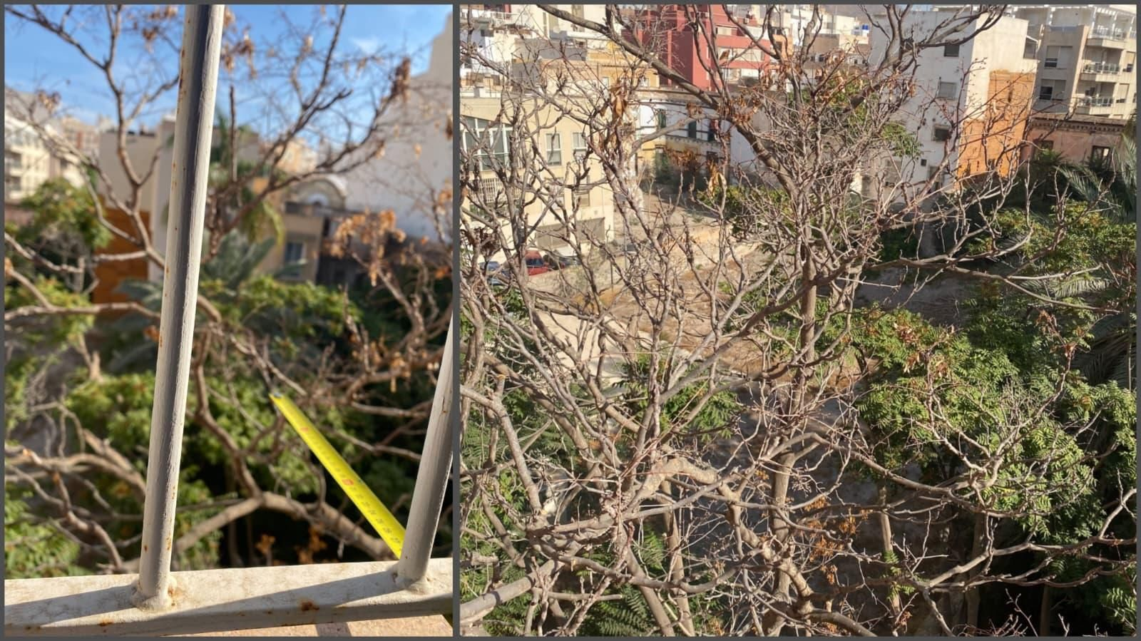 Imagen que presentan los solares entre las calles del centro de Almería.