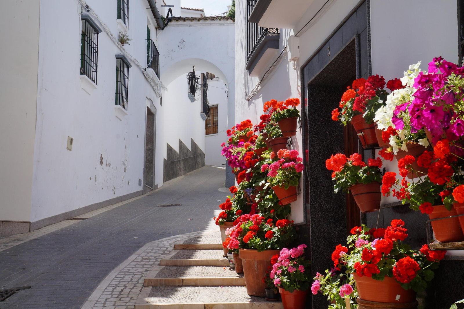 Calle de acceso al casco antiguo, con una puerta llena de macetas.