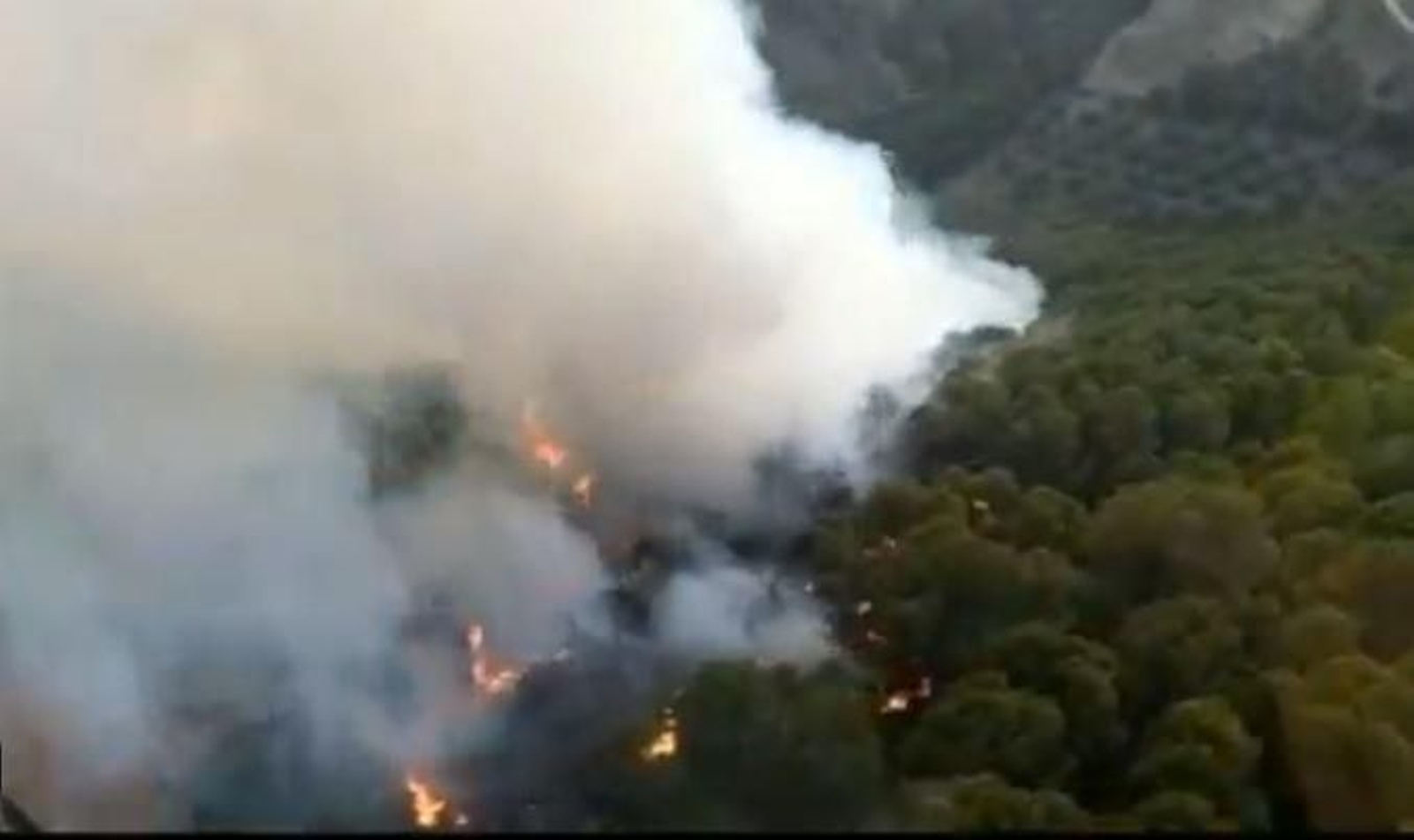 Imagen del incendio forestal declarado en Archidona.