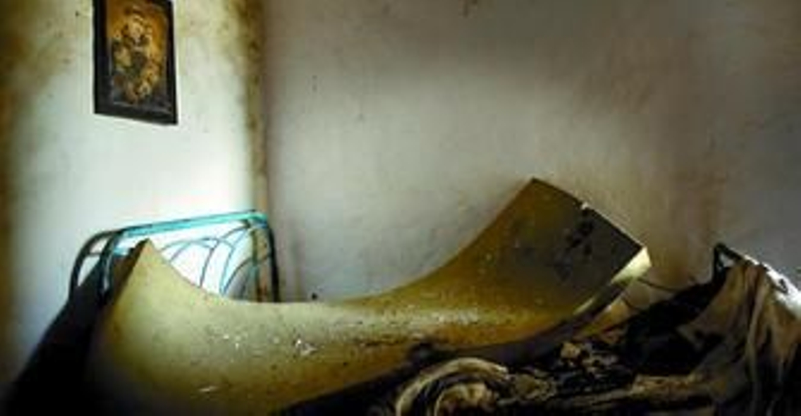 Paloma Brinkmann: anclaje en la tierra