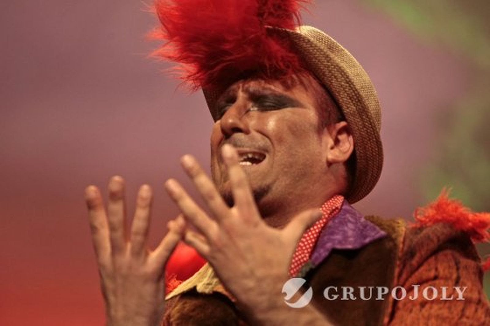 Los gallitos. 

Foto: Fito Carreto