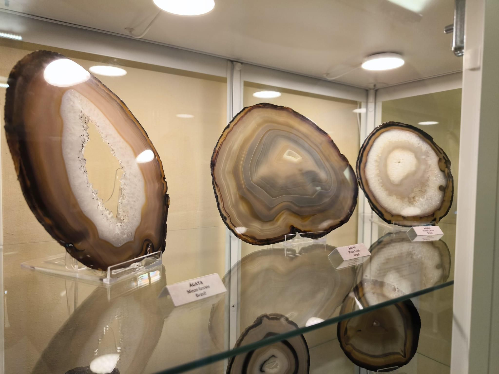 Así es el nuevo museo que acaba de abrir en Aracena: Está a los pies del castillo y tiene una sala única en Europa Así es el nuevo museo que acaba de abrir en Aracena: Está a los pies del castillo y tiene una sala única en Europa