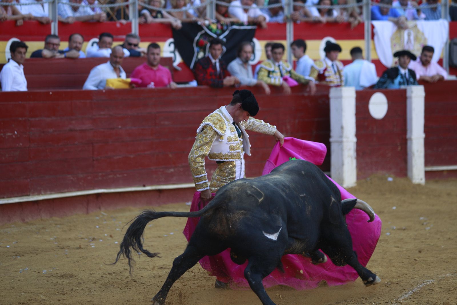 Imágenes de la corrida de toros del jueves en la Feria de Almería 2024