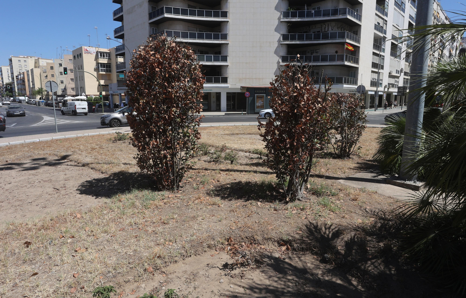 El barrio de Los Remedios, se seca