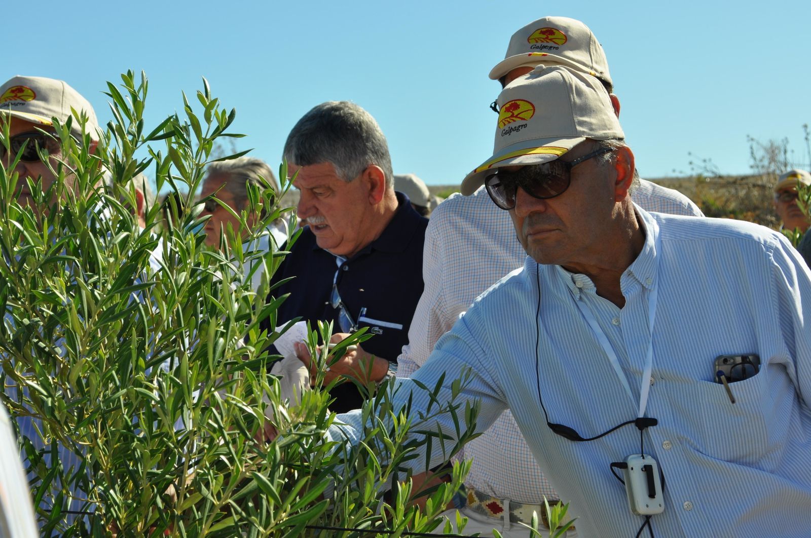 Visita de agricultores y viticultores a la explotación 'El Olivillo' durante las jornadas de Asaja-Cádiz y Galpagro.