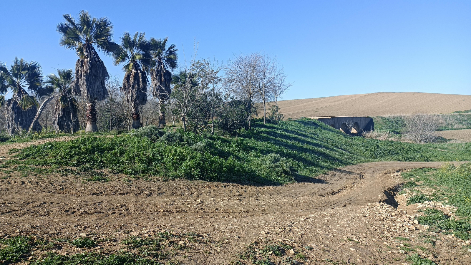 El Puente de los Judíos, aunque no pasamos por ahí.
