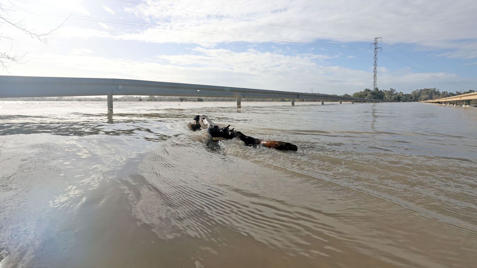 Así afronta la zona rural de Jerez la subida del río Guadalete