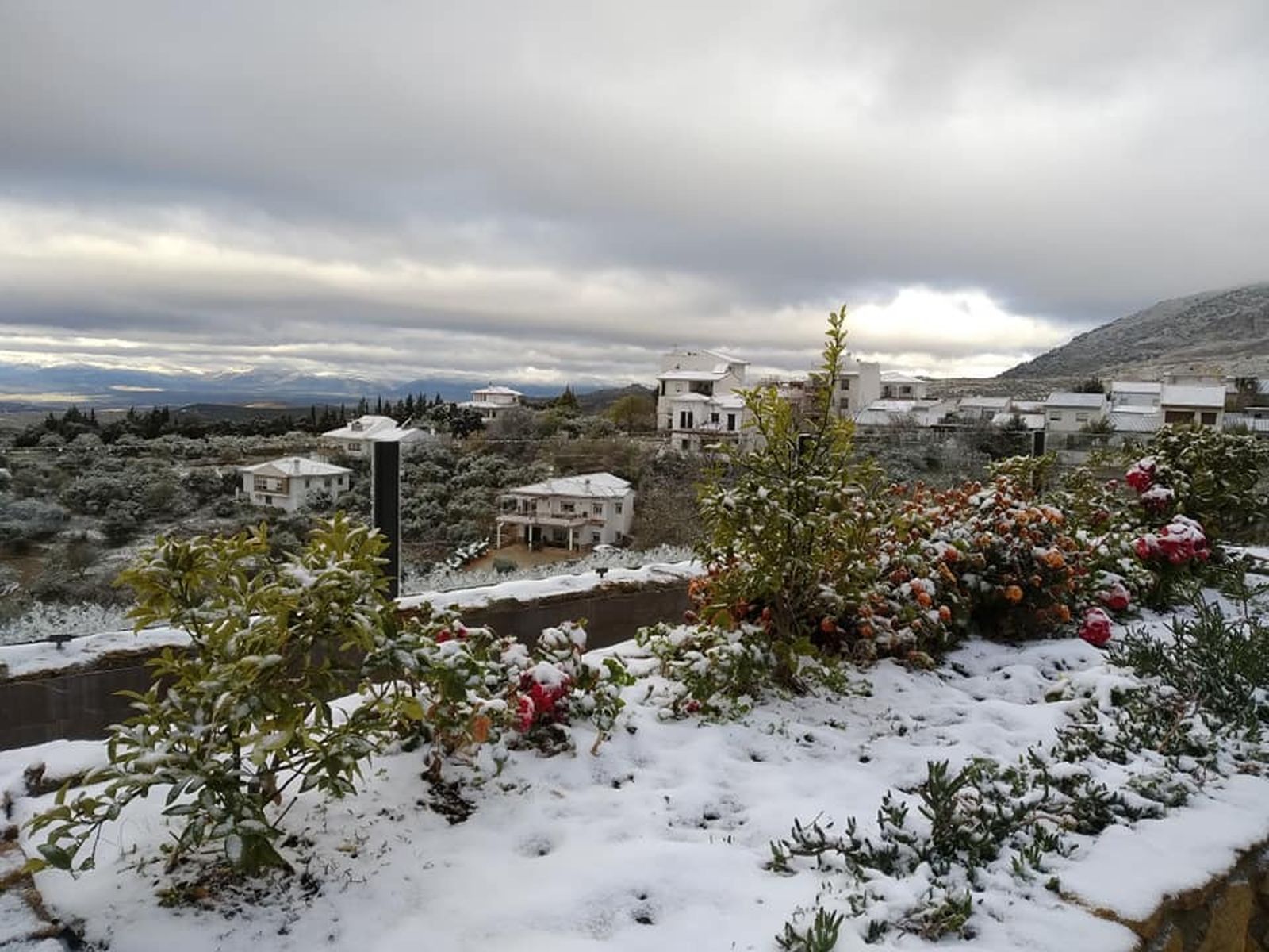 Fotos: La nieve llega a Granada capital y a pueblos del Cinturón